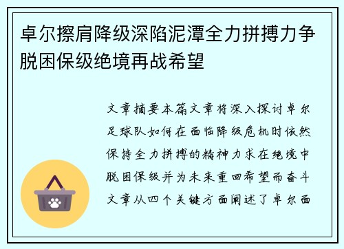 卓尔擦肩降级深陷泥潭全力拼搏力争脱困保级绝境再战希望